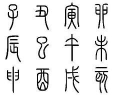 紫薇斗数太阴在财富宫(太阳太阴在财帛宫适合什么工作?女命八字癸水)