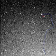 属相为羊不太适宜做什么生意(属相为鸡人做什么生意最旺)