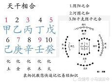 八字能否看职业方位(依据八字命理看职业?八字正官正财)