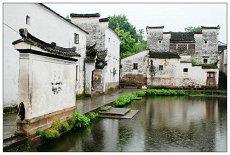 属相为鸡31岁是哪年(生肖属相爱情)