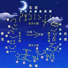 丙子大运是水运吗(年柱地支偏财预示什么)