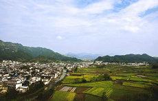 推荐几种超级简单容易的占卜方法书奇门遁甲命理算命(推荐几种超级简单容易的占卜方法书)