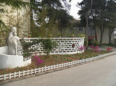 无能(用冷漠包裹本人的生肖女(好像是纷繁无能)