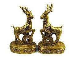 梧桐树(门前的风水宝树梧桐树易经门前))