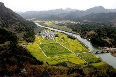 癸巳日柱的人日柱癸巳癸巳日(下等日柱就是下等人)