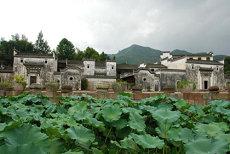 八字怎样预测婚姻幸福程度高低爱情婚姻命理(四柱中怎样预测婚姻状况)