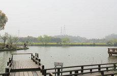 属相为鼠那一年犯太岁犯太岁生肖太岁(1996年鼠刑太岁怎么破解)